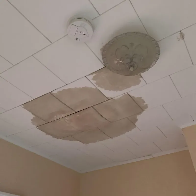Ceiling Water Damage Repair in Bethany, OR